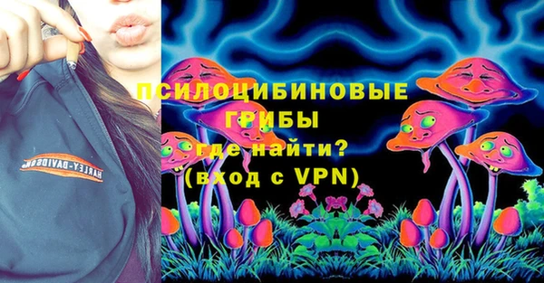 гашик Богданович