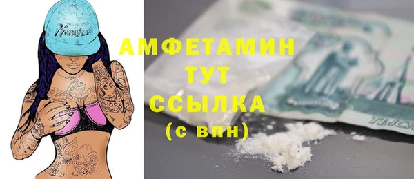 гашик Богданович