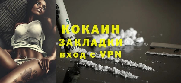гашик Богданович
