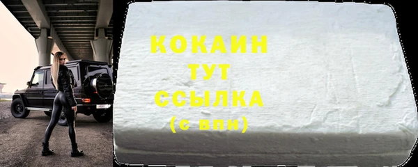 гашик Богданович