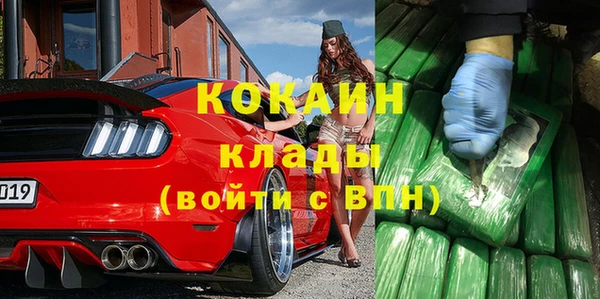 гашик Богданович