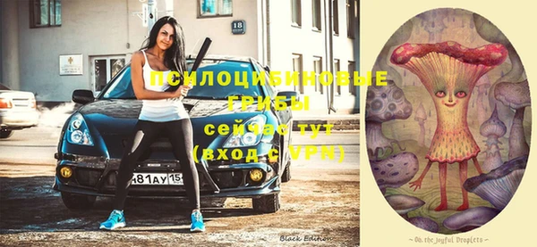 гашик Богданович