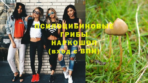 гашик Богданович